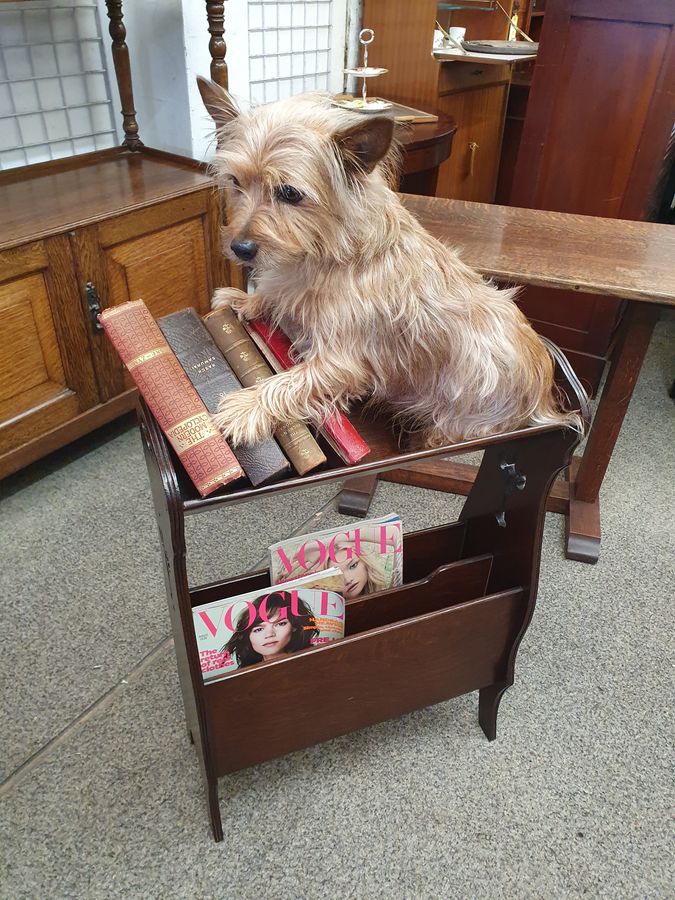 Antique Small Antique 1920's Arts & Crafts Bookcase Magazine Newspaper Stand 