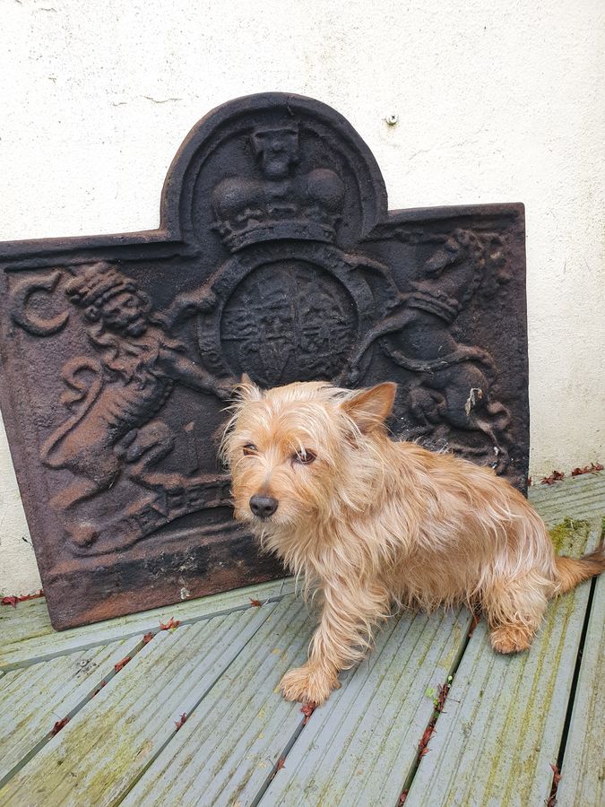 Antique Good Antique Charles II Fireback With A Lion & Unicorn Coat of Arms