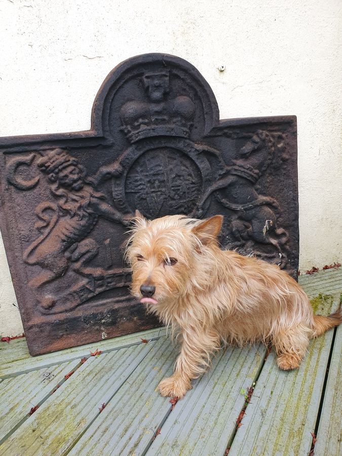 Antique Good Antique Charles II Fireback With A Lion & Unicorn Coat of Arms