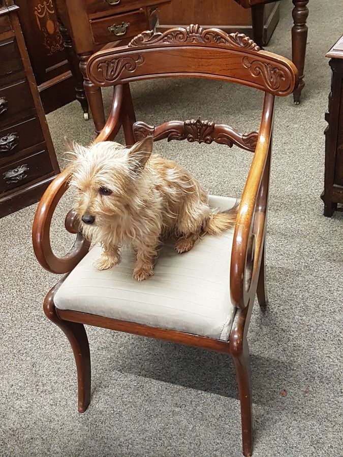 Antique Good Antique Scroll Armchair Chair