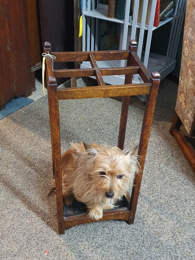 Antique Antique Edwardian Stick Umbrella Stand 