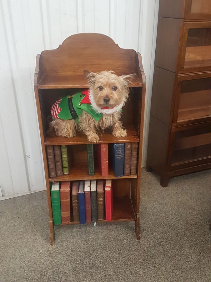 Antique Small Arts & Crafts Bookcase Shelves Cabinet