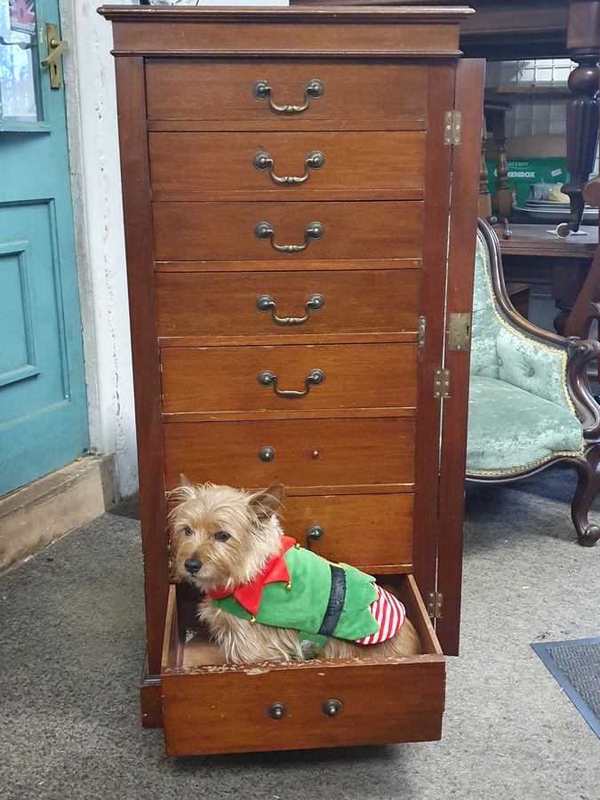 Antique Good Antique Pedestal Wellington Chest of Drawers 