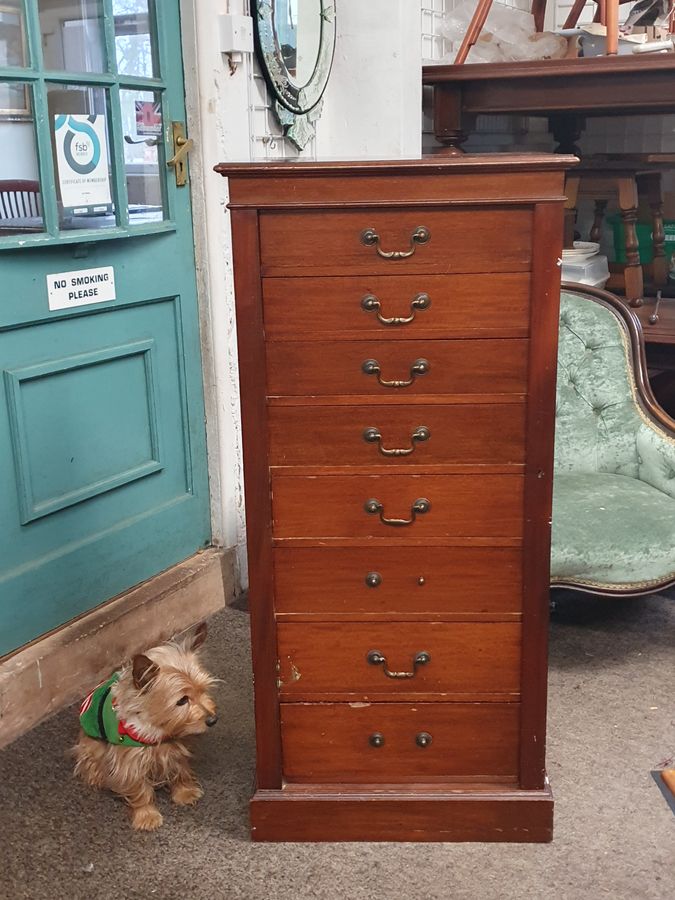 Antique Good Antique Pedestal Wellington Chest of Drawers 