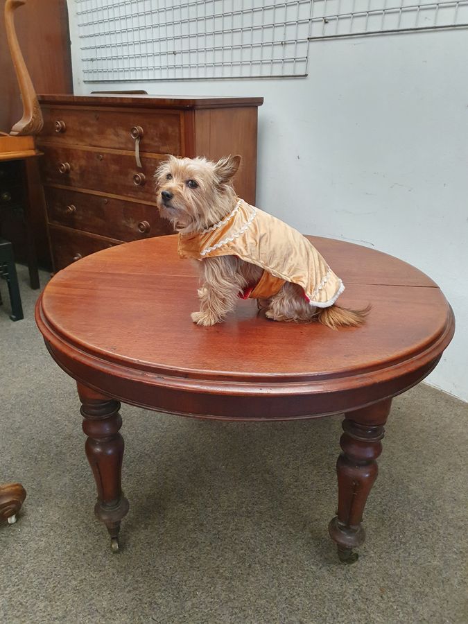 Antique Antique Victorian Round Extending Dining Table Seats 8