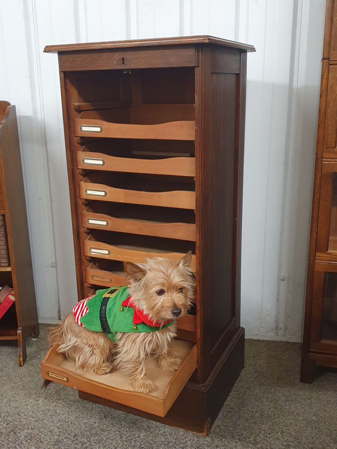 Antique Antique Edwardian Office Filing Cabinet 