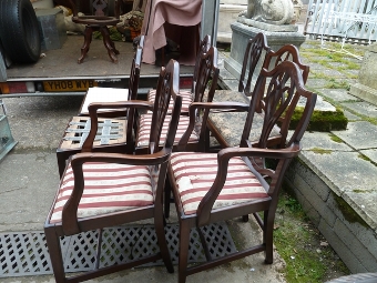 Antique 8 Chairs