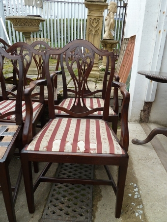 Antique 8 Chairs