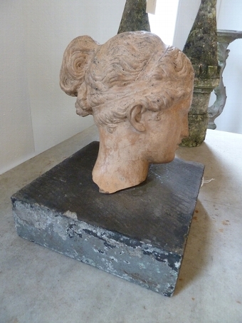 Antique Terracotta Head