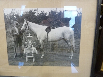 Antique Horse Pictures