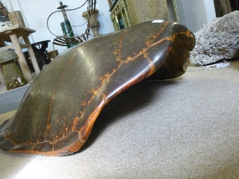 Antique Turtle Shell