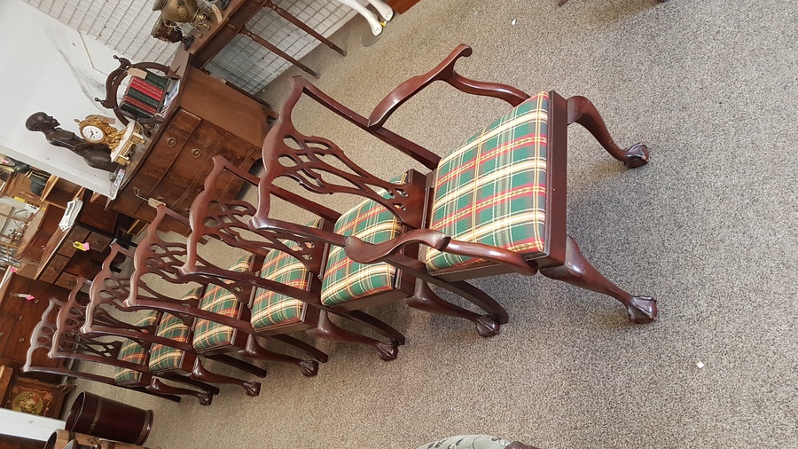 Antique 6 Dining Chairs 
