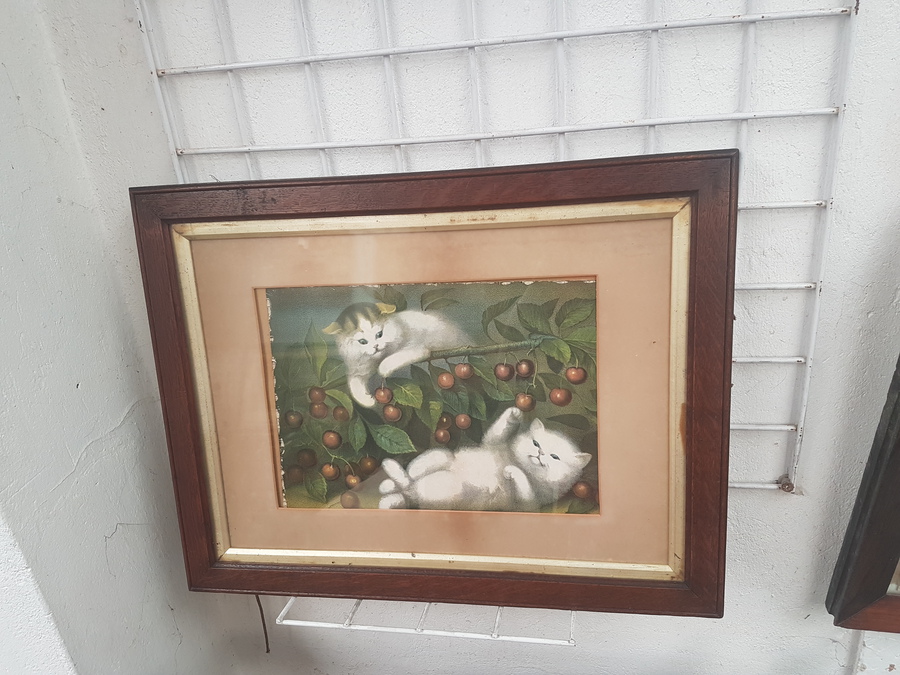 Antique Framed Cat Engraving