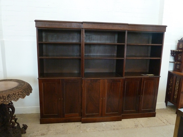 Collectors Bookcase