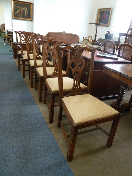 Dining Chairs