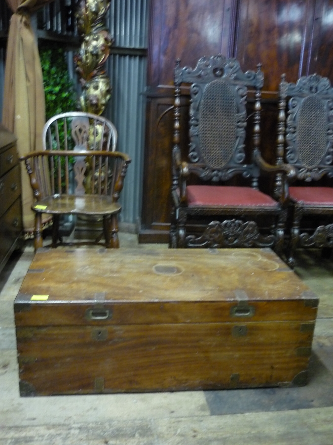 Camphor Trunk
