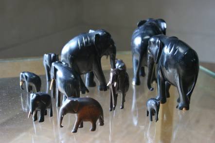 Antique A collection of 12 assorted Elephants in ebony and other woods