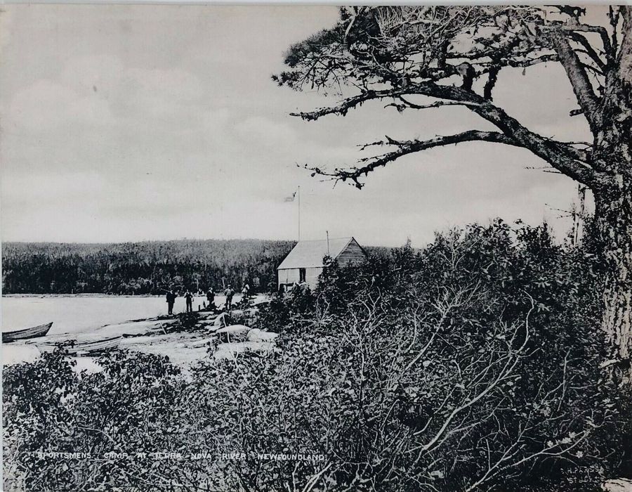 Antique New Foundland, Set of 12 Photographs, C.1900