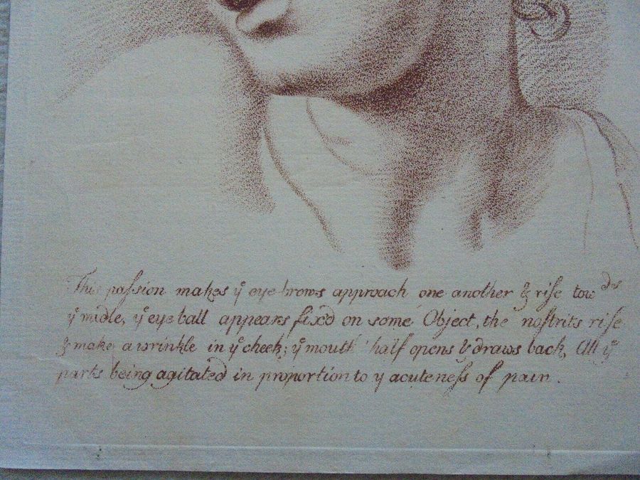 Antique 'Bodily Pain ' from Le Brun,  Passions of the soul (Plate 32)