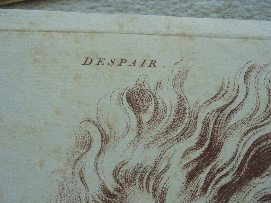 Antique 'Despair' from Le Brun,  Passions of the soul (Plate 20)