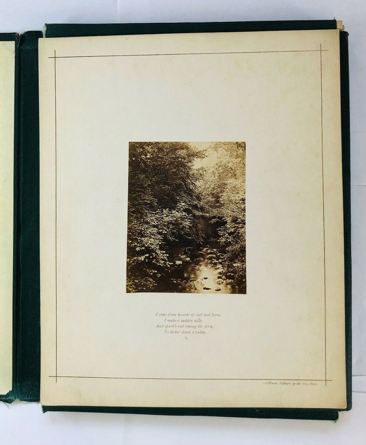 Antique Photographic View on Hard-Board (13 pieces), The Brook (1873)