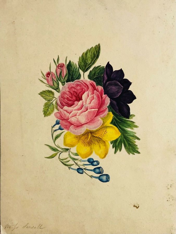 Botanical Study, ca 1900, Watercolour