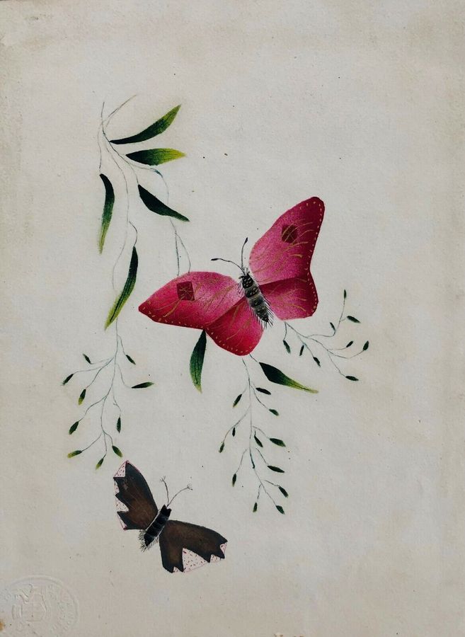 Study of Butterflies, Watercolour