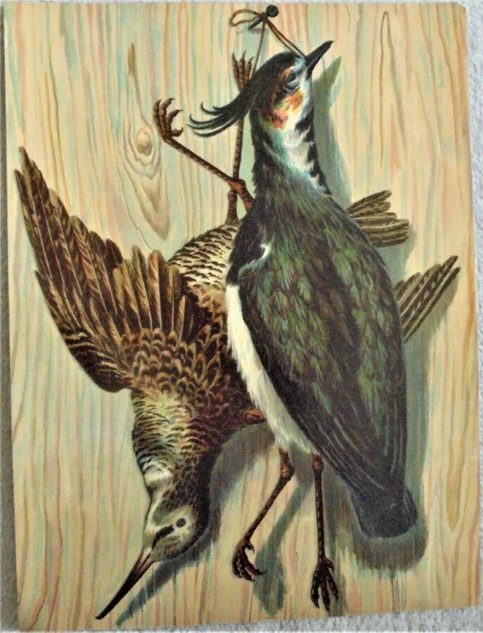 Antique Chromolithograph - A pair: Birds and Fish