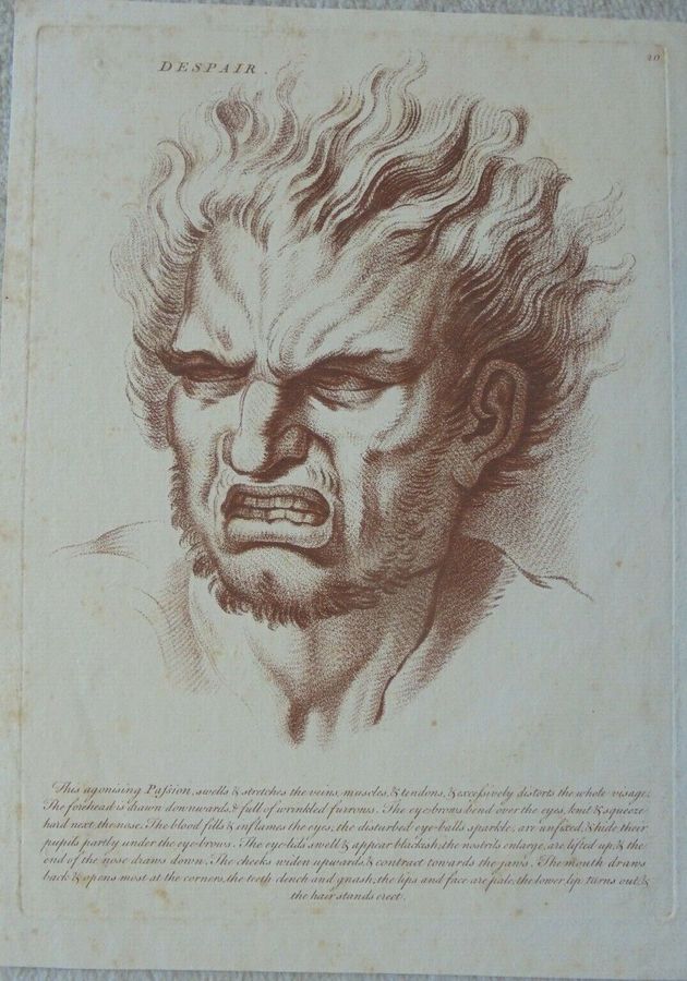Antique 'Despair' from Le Brun,  Passions of the soul (Plate 20)
